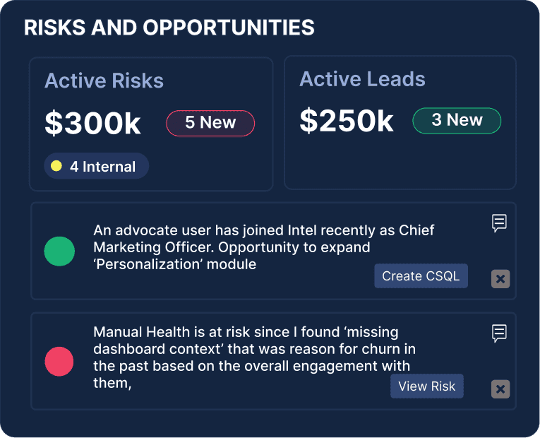 Dashboard Visualization - Customer Success AI -Risk and Opportunity